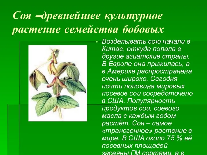Соя –древнейшее культурное растение семейства бобовых Возделывать сою начали в Китае, откуда попала