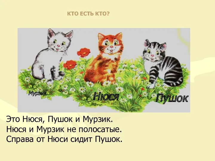 Это Нюся, Пушок и Мурзик. Нюся и Мурзик не полосатые. Справа от Нюси