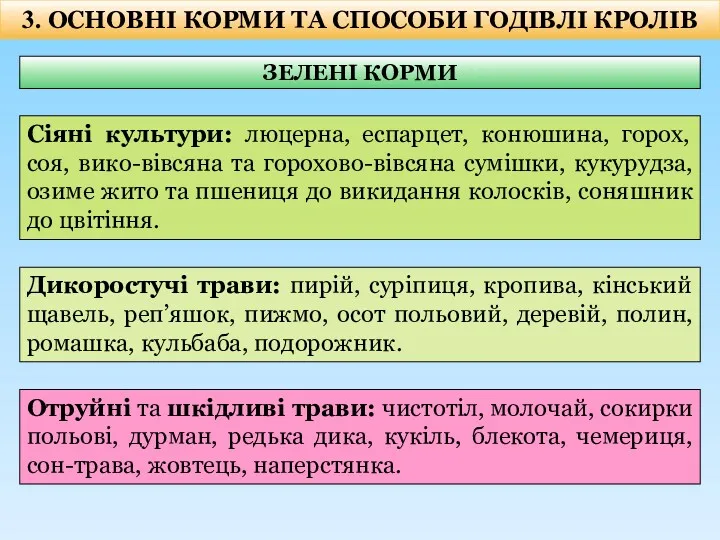 ЗЕЛЕНІ КОРМИ 3. ОСНОВНІ КОРМИ ТА СПОСОБИ ГОДІВЛІ КРОЛІВ Сіяні