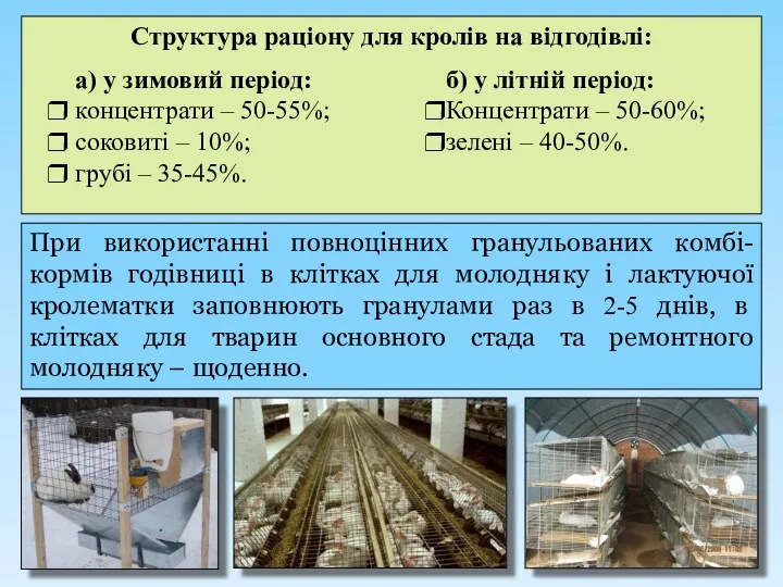 Структура раціону для кролів на відгодівлі: При використанні повноцінних гранульованих