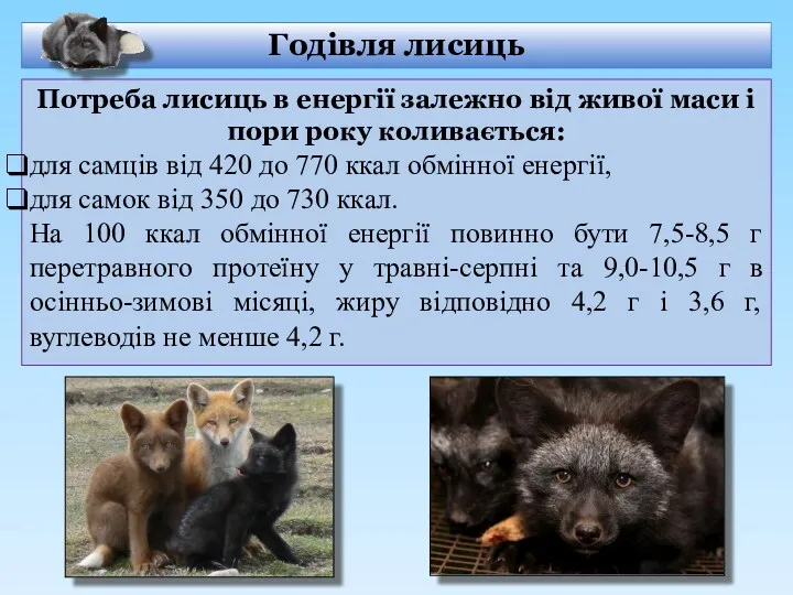 Годівля лисиць Потреба лисиць в енергії залежно від живої маси