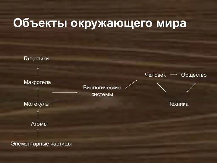 Элементарные частицы Атомы Молекулы Макротела Галактики Биологические системы Человек Общество Техника Объекты окружающего мира