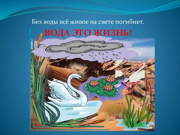 Без воды всё живое на свете погибнет. ВОДА ЭТО ЖИЗНЬ!