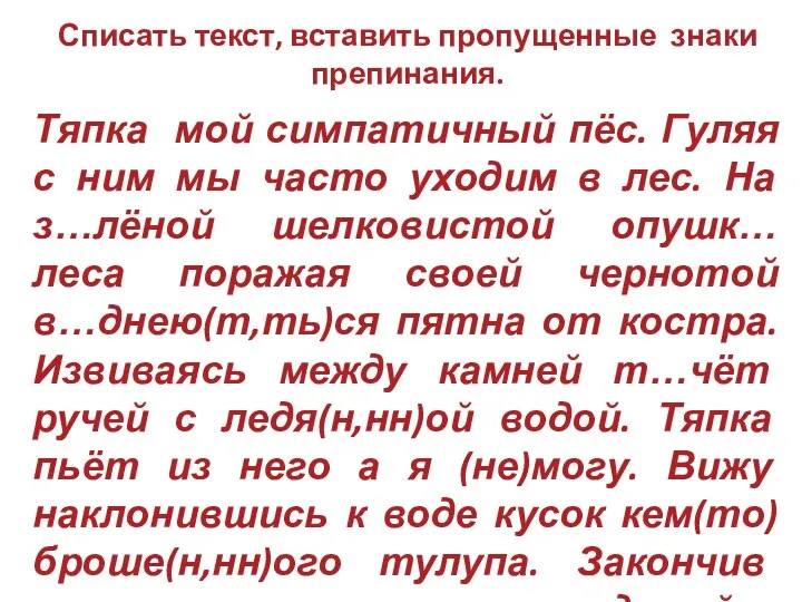 Списать текст, вставить пропущенные знаки препинания. Тяпка мой симпатичный пёс.