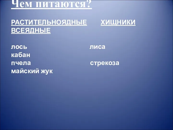 Чем питаются? РАСТИТЕЛЬНОЯДНЫЕ ХИЩНИКИ ВСЕЯДНЫЕ лось лиса кабан пчела стрекоза майский жук