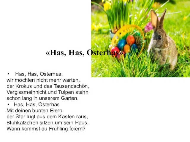 «Has, Has, Osterhas». Has, Has, Osterhas, wir möchten nicht mehr