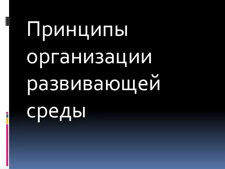 Принципы организации развивающей среды