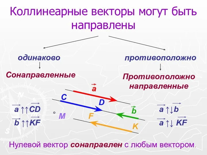 Коллинеарные векторы могут быть направлены Сонаправленные Противоположно направленные одинаково противоположно
