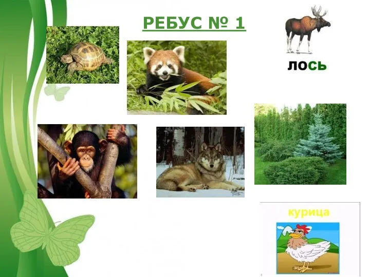 РЕБУС № 1