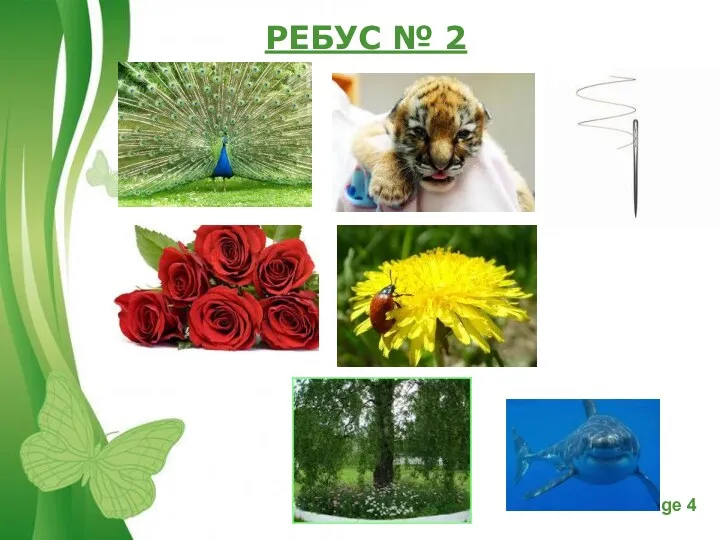 РЕБУС № 2