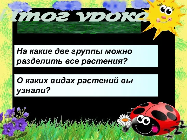 Итог урока О каких видах растений вы узнали? На какие две группы можно разделить все растения?