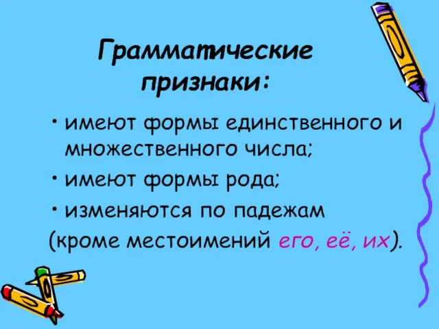 Грамматические признаки: имеют формы единственного и множественного числа; имеют формы