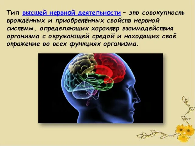 Тип высшей нервной деятельности – это совокупность врождённых и приобретённых