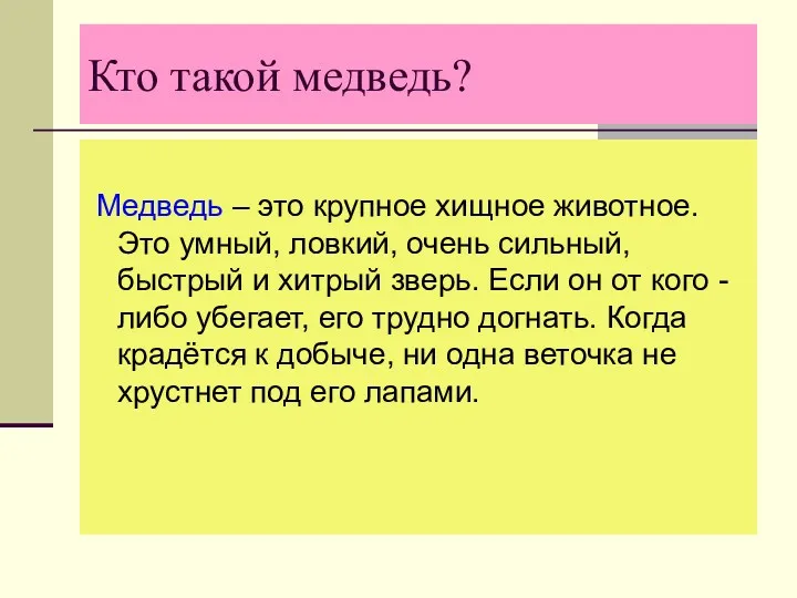 Кто такой медведь? Медведь – это крупное хищное животное. Это