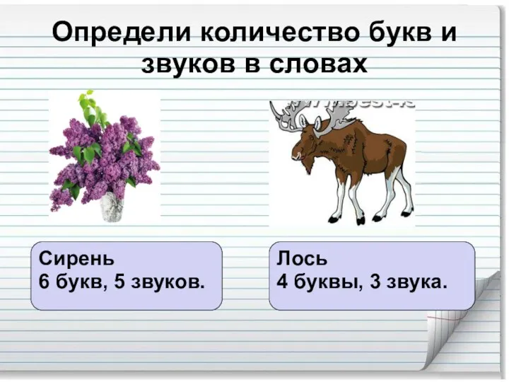 Определи количество букв и звуков в словах Сирень 6 букв,