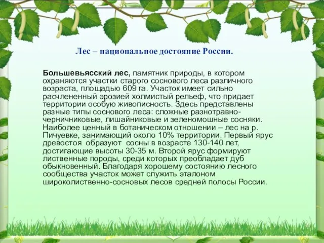 Лес – национальное достояние России. Лес – национальное достояние России. Большевьясский лес, памятник
