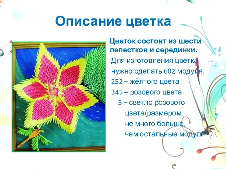 Описание цветка Цветок состоит из шести лепестков и серединки. Для