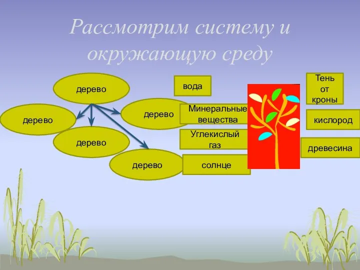 Рассмотрим систему и окружающую среду дерево дерево дерево дерево дерево