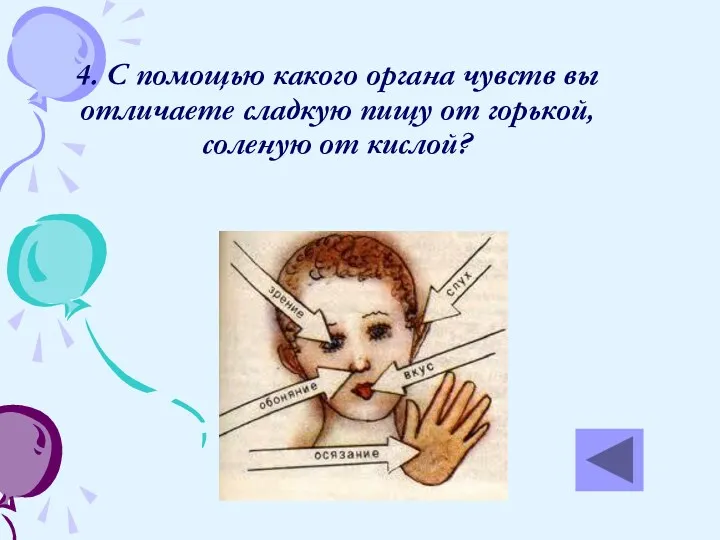 4. С помощью какого органа чувств вы отличаете сладкую пищу от горькой, соленую от кислой?