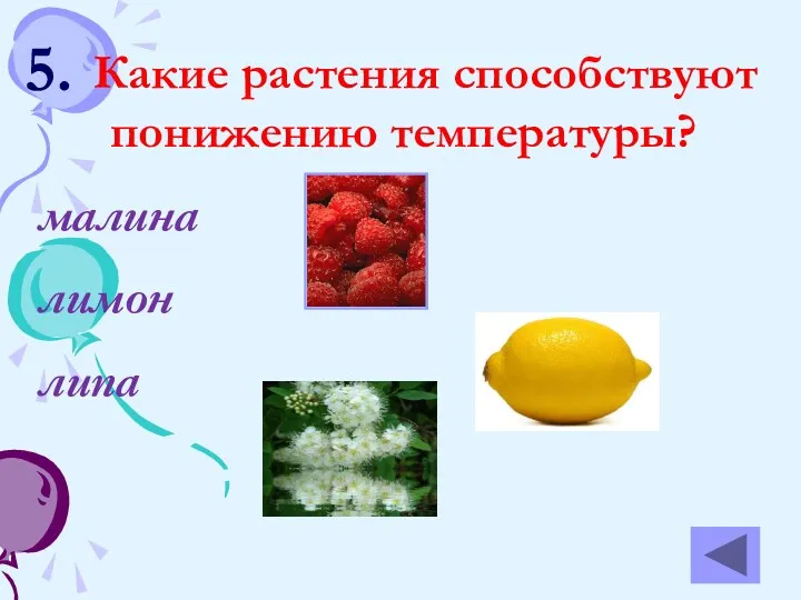 5. Какие растения способствуют понижению температуры? малина лимон липа