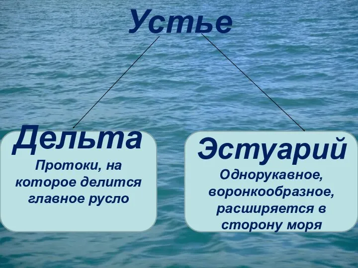 Устье Дельта Протоки, на которое делится главное русло Эстуарий Однорукавное, воронкообразное, расширяется в сторону моря