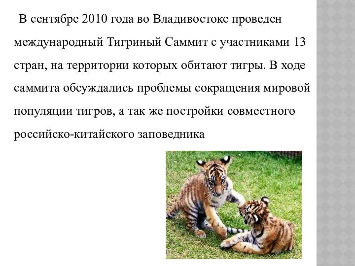 В сентябре 2010 года во Владивостоке проведен международный Тигриный Саммит