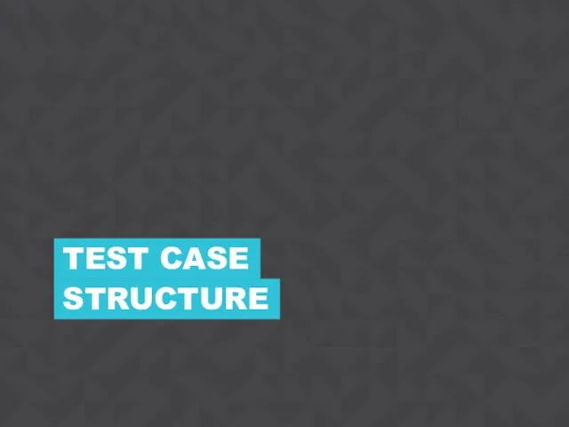 STRUCTURE TEST CASE