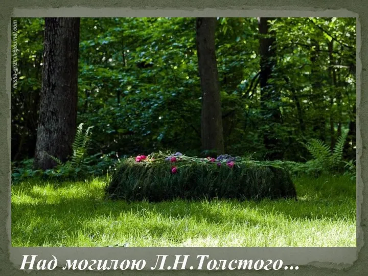 Над могилою Л.Н.Толстого…