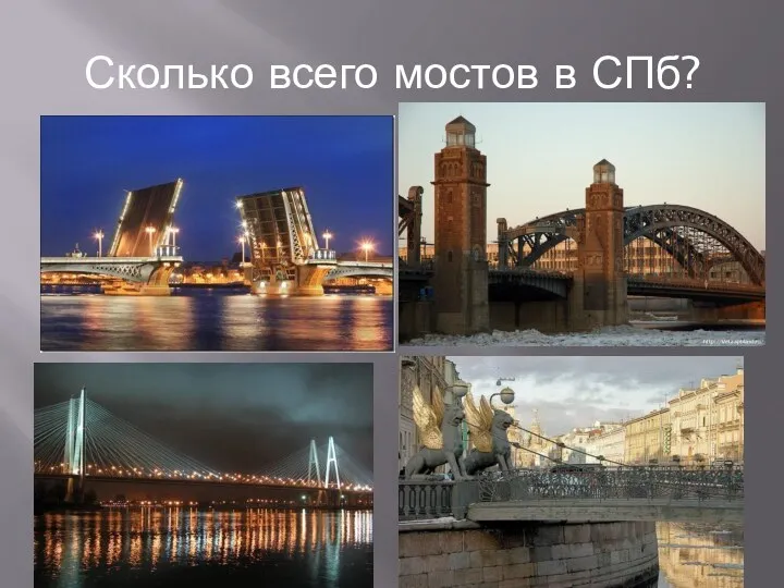 Сколько всего мостов в СПб?