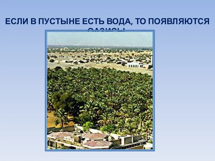 ЕСЛИ В ПУСТЫНЕ ЕСТЬ ВОДА, ТО ПОЯВЛЯЮТСЯ ОАЗИСЫ.