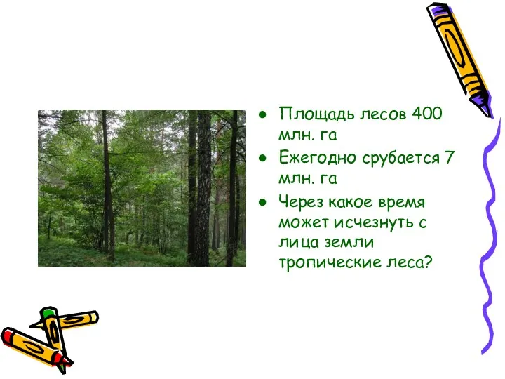 Площадь лесов 400 млн. га Ежегодно срубается 7 млн. га