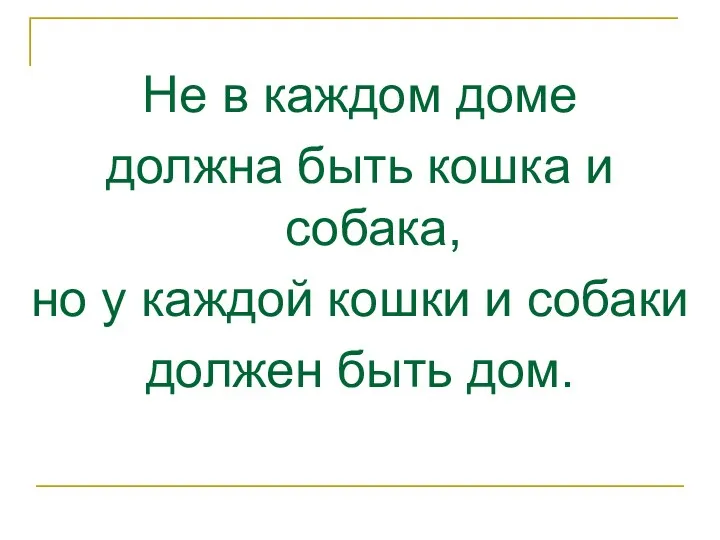 Не в каждом доме должна быть кошка и собака, но