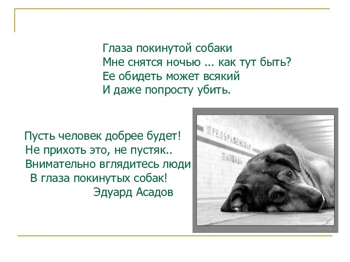 Глаза покинутой собаки Мне снятся ночью ... как тут быть?