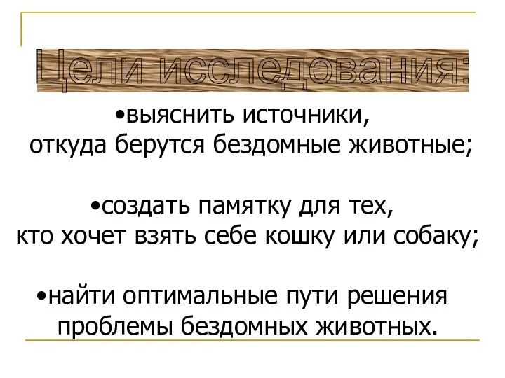 выяснить источники, откуда берутся бездомные животные; создать памятку для тех,