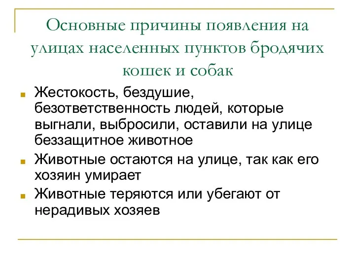 Основные причины появления на улицах населенных пунктов бродячих кошек и