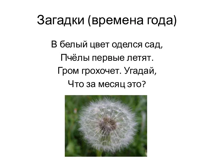 Загадки (времена года) В белый цвет оделся сад, Пчёлы первые летят. Гром грохочет.