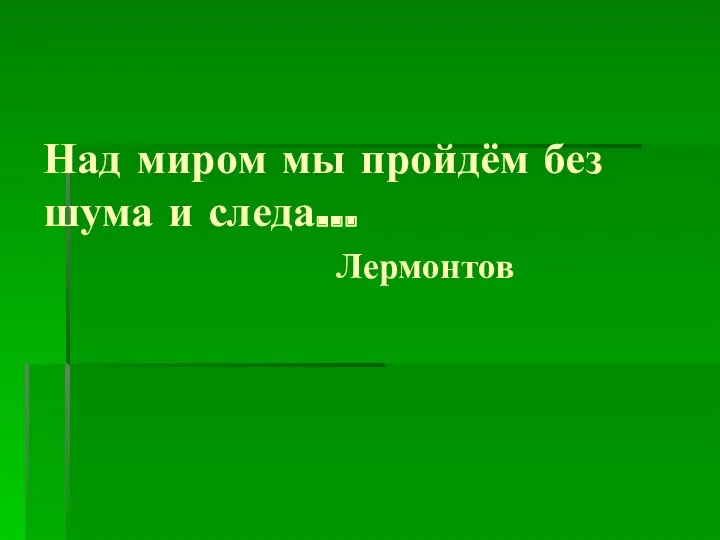 Над миром мы пройдём без шума и следа… Лермонтов