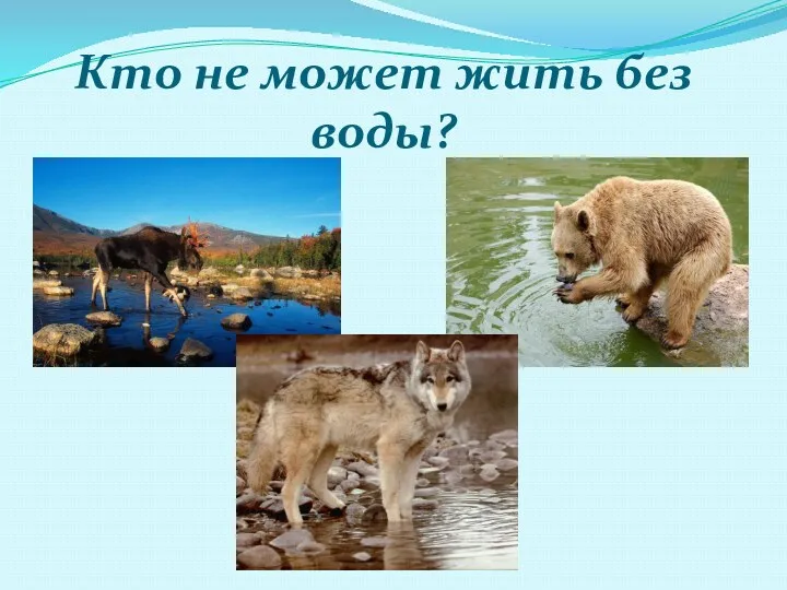 Кто не может жить без воды?