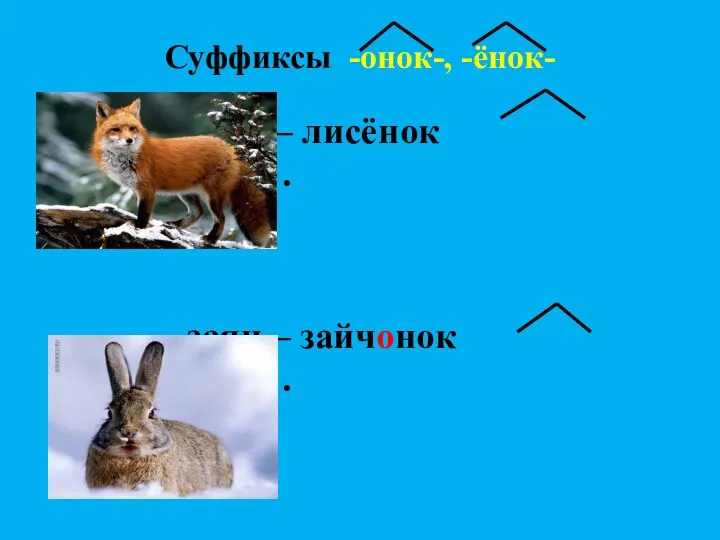 Суффиксы -онок-, -ёнок- лиса – лисёнок … - … заяц – зайчонок … - …