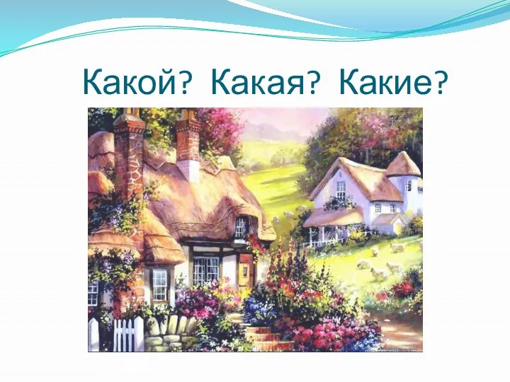 Какой? Какая? Какие?