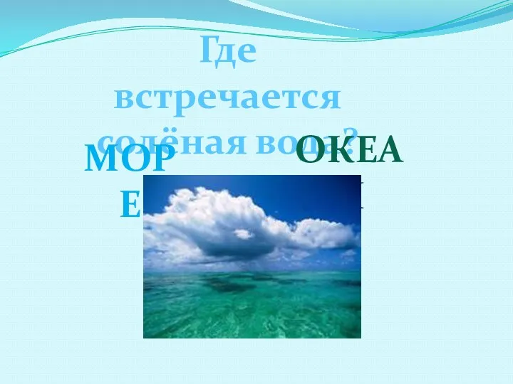 Где встречается солёная вода? океан МОРЕ