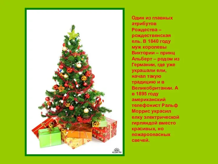 Один из главных атрибутов Рождества – рождественская ель. В 1840