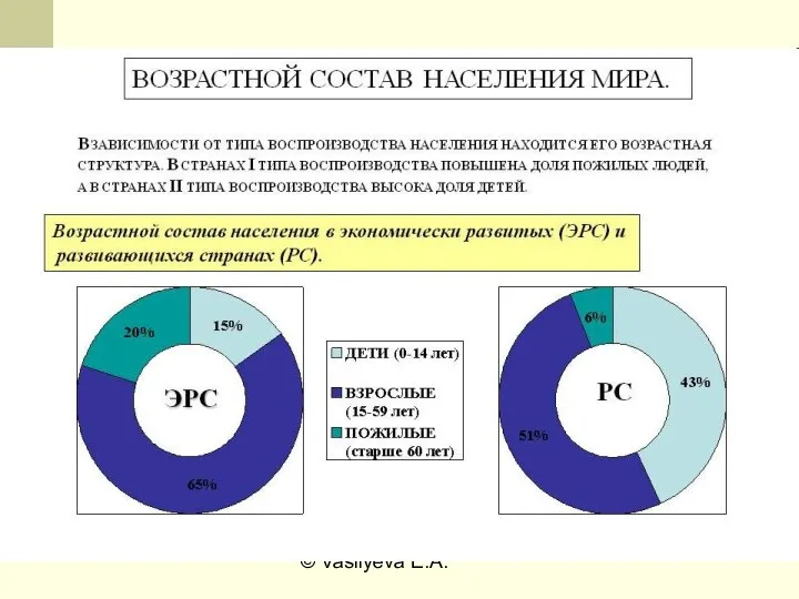 © Vasilyeva E.A.