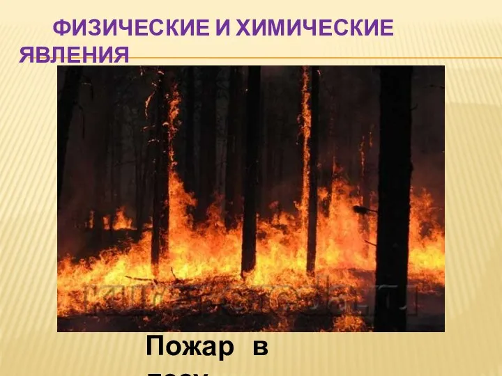 Физические и химические явления Пожар в лесу