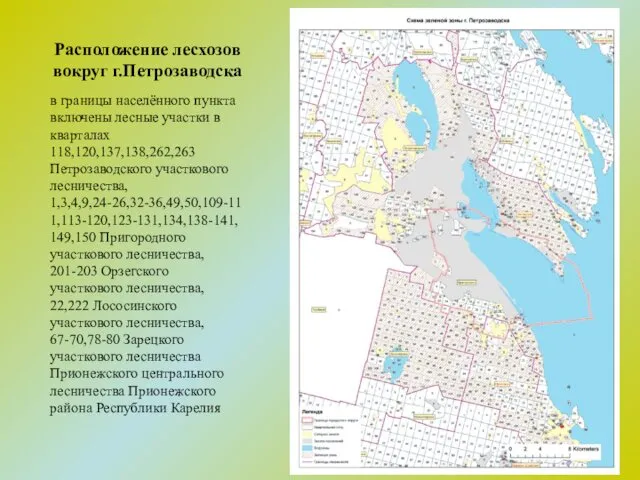 Расположение лесхозов вокруг г.Петрозаводска в границы населённого пункта включены лесные участки в кварталах