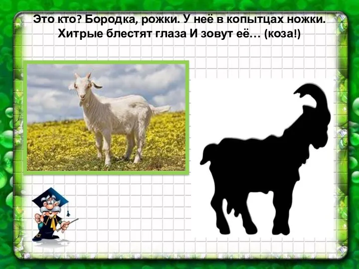 Это кто? Бородка, рожки. У неё в копытцах ножки. Хитрые блестят глаза И зовут её… (коза!)