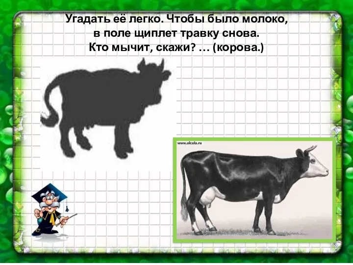 Угадать её легко. Чтобы было молоко, в поле щиплет травку снова. Кто мычит, скажи? … (корова.)