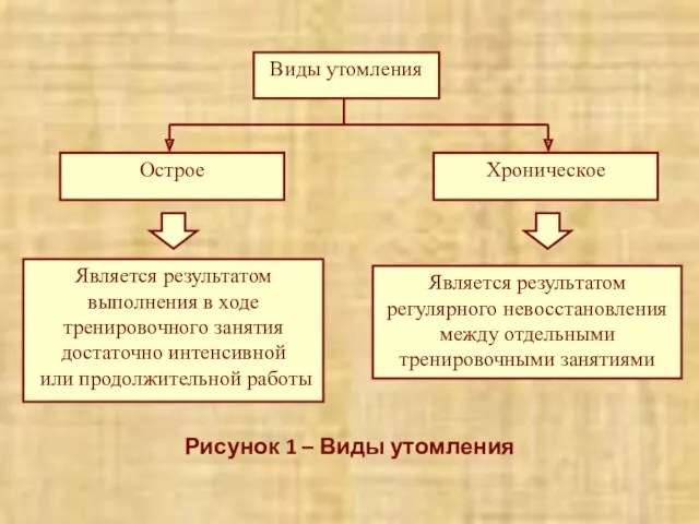 Рисунок 1 – Виды утомления