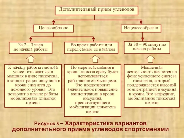 Рисунок 5 – Характеристика вариантов дополнительного приема углеводов спортсменами