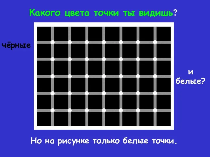 Но на рисунке только белые точки. Какого цвета точки ты видишь? чёрные и белые?